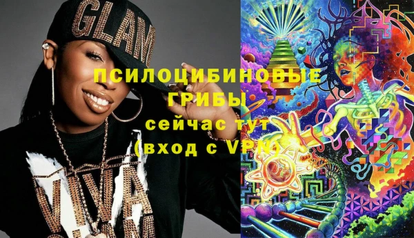 стаф Богородск
